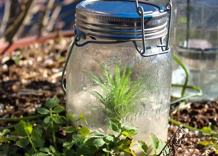 Backhaus Wald Holiday home