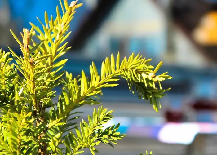 Holiday home Backhaus Wald Wald (Baden-Wurttemberg)